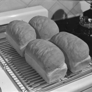 Bread loaves cooling on rack