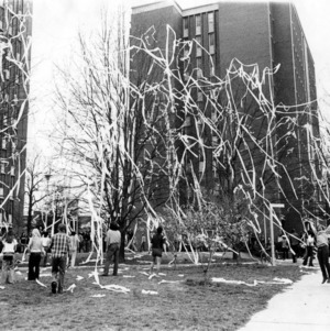Tri-Towers' trees toilet papered