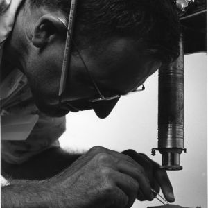 Frank E. Guthrie prepares specimen for photography