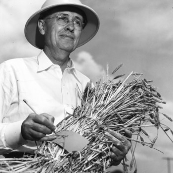 Dr. Gordon K. Middleton with wheat bushel