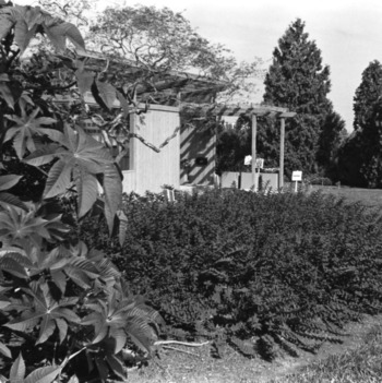 Arboretum Visitors' Center