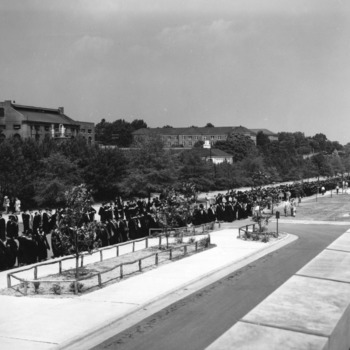 View of graduates lining up outside at North Carolina State College commencement, 1951.