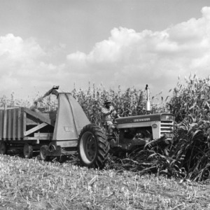 Man on tractor harvesting silage.