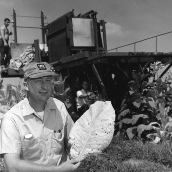 Dr. William E. Splinter in field with tobacco harvester