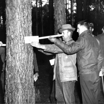 North Carolina State College Extension forestry specialist at a forestry field demonstration coaches a forest owner in the use of a tree scale stick to determine tree volumen and value, 195-.