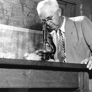 Dr. Jasper L. Stuckey examining specimen under microscope