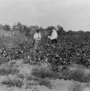 Two 4-H club members standing in a field
