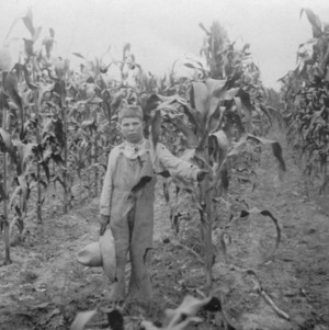 Corn Club member standing in a corn field