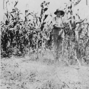 Kemp Kiser, champion corn club boy of Gaston County, standing in a corn field