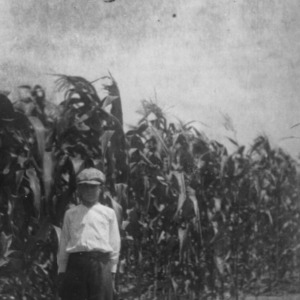 "This was taken the 8th of July, when my corn was in full growth, 1915."