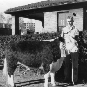Young man with prize winning steer, Asheville, North Carolina, 1942