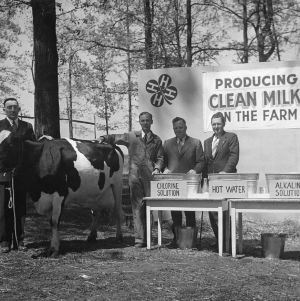 4-H leaders demonstrating clean milk production, 1943