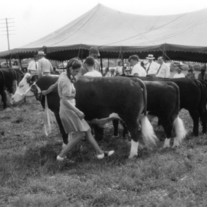 Competitors in showmanship category, Greensboro, North Carolina stock show, 1946