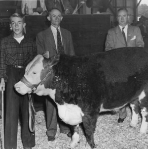 Left to right, Ted, Francis, and Woody standing with the Grand Champion at the Asheville Fat Stark Show in Asheville, North Carolina
