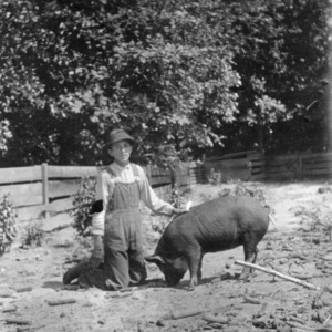 Member of a 4-H pig club kneeling with a pig
