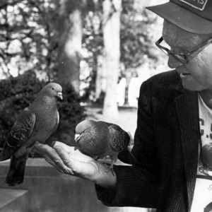 Peanut man in downtown Raleigh with pigeons