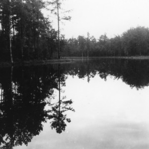 View of the lake at the 4-H Wildlife Conservation Camp in Indian Springs, North Carolina
