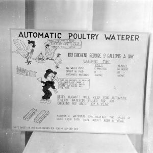 Automatic Poultry Waterer poster at Manteo, North Carolina, 4-H Camp