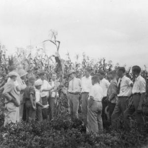Group of men standing in a corn field at Camp Leach
