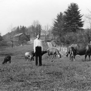 William Baldwin standing in field with cattle, Buncombe County, North Carolina