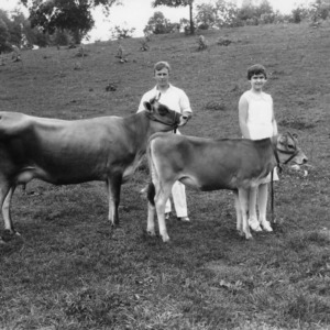 Two 4-H club members standing with a cow and a calf
