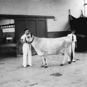 Cleveland County, North Carolina, Dairy Demonstration Team, North Carolina State 4-H Short Course, 1937