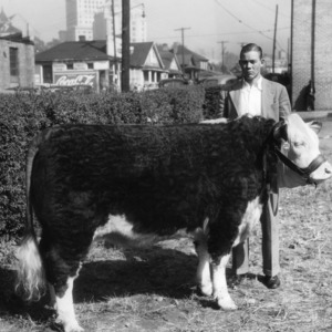 Clarence Dockery with steer at Buncombe County beef show, Asheville, North Carolina