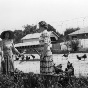 Two women standing next to poultry yard, Nash County, North Carolina