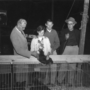 4-H club girl participates in 1952 Pullet Chain show