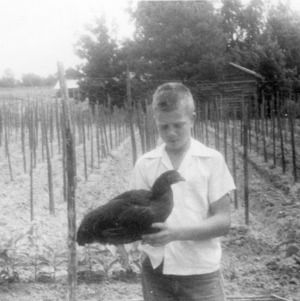 4-H club member Carl Comer of Cameron, Moore County, North Carolina, with chicken, 1953
