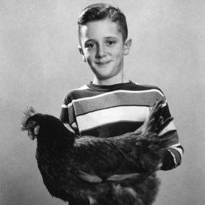 4-H club boy with chicken