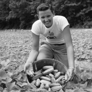 Unidentified 4-H club member displays cucumbers grown at the Tew family farm