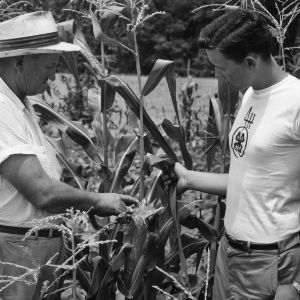 Unidentified 4-H club member and man examining their corn crop at the Tew family farm