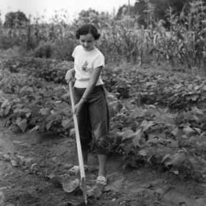 Unidentified 4-H club member hoeing in her field on the Tew family farm