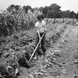 Unidentified 4-H club member hoeing in her field on the Tew family farm