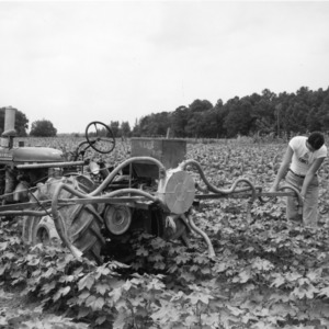 Unidentified 4-H club member using farm machinery at the Tew family farm