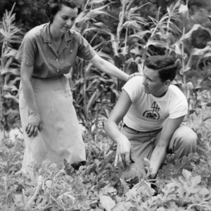 Unidentified 4-H club member examining his crops with a woman on the Tew family farm