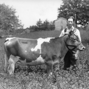 4-H club member standing in a field with his cow