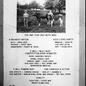 4-H club poster advertising the similar needs of both a 4-H club member and their calf