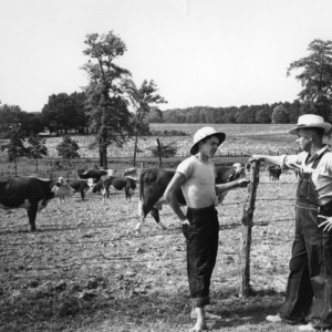 Father and son standing in front of grazing cattle at North Carolina State College