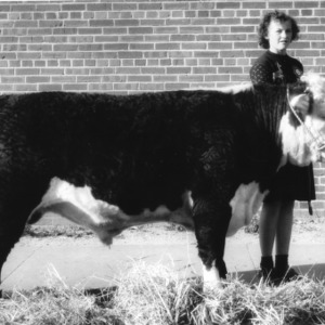 4-H club member holding her bull