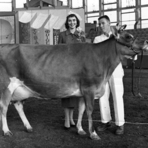 4-H club member holding his cow, standing next to an unidentified woman wearing a crown