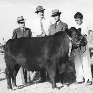 4-H club member, two unidentified men and L. R. Harrill standing with a bull