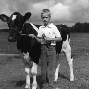 4-H club member standing in a field showing his calf