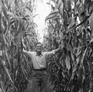 Unidentified man standing in his corn field