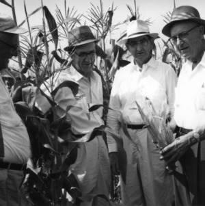Charlie Parker, right, who grew a record 235 bushels of corn on one acre in 1911, pictured in a corn field with three other men