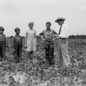 Inspecting crops, Nash County, North Carolina, 1942