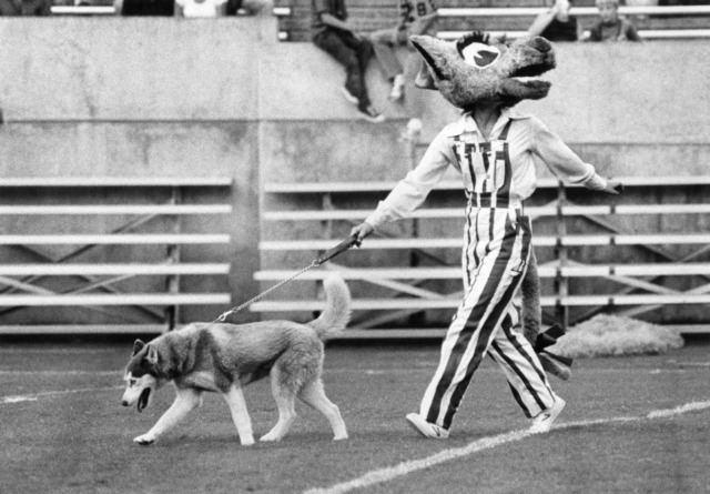 3 Washington nationals mascot Images: PICRYL - Public Domain Media Search  Engine Public Domain Search