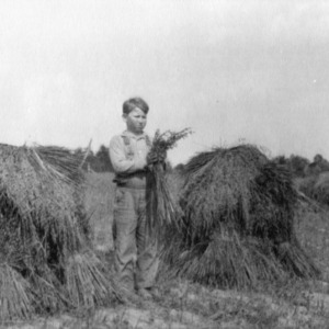 Boy working in field during harvest time, Davidson County, North Carolina, 1932