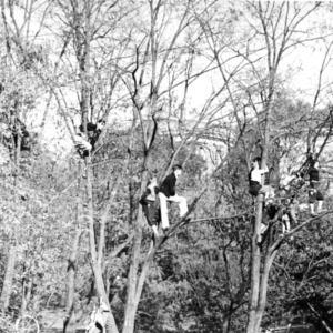 Spectators watching a football game from treetops